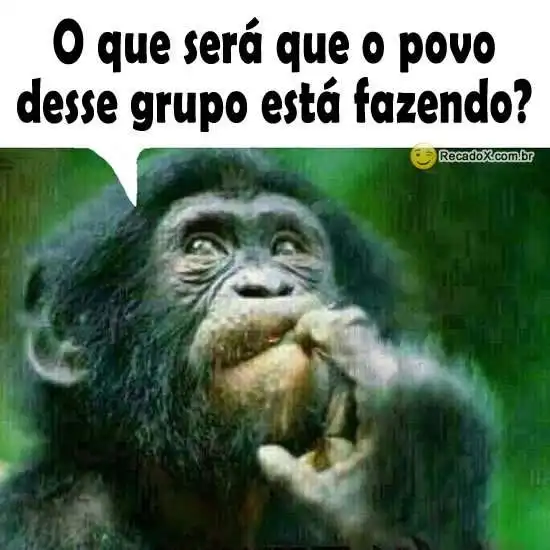 O que o grupo está fazendo