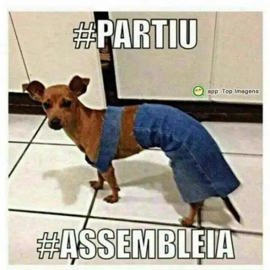Partiu assembleia