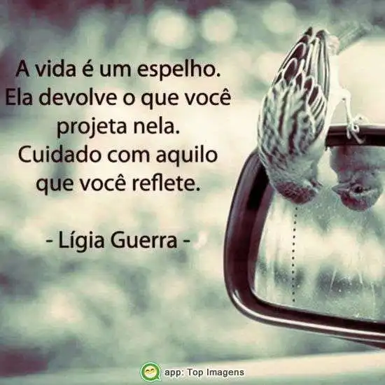 A vida é um espelho