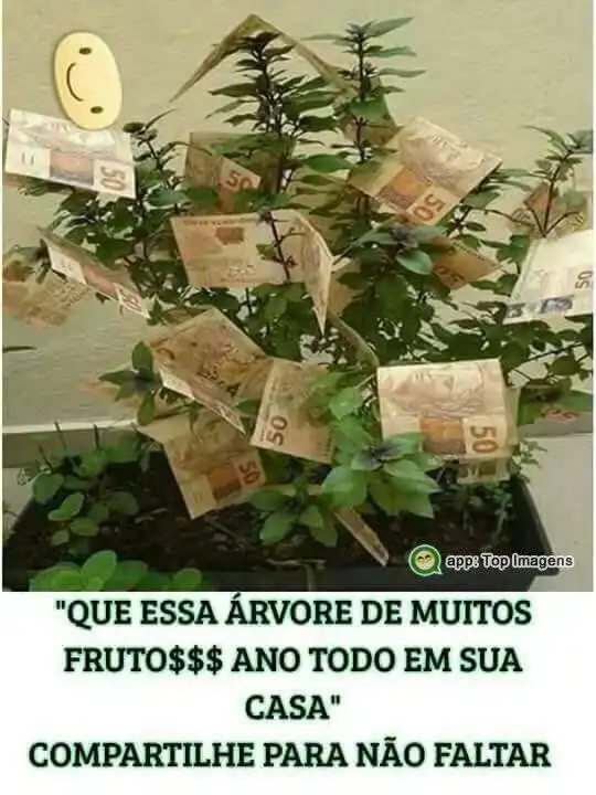 Árvore com bons frutos