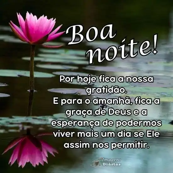 Boa noite