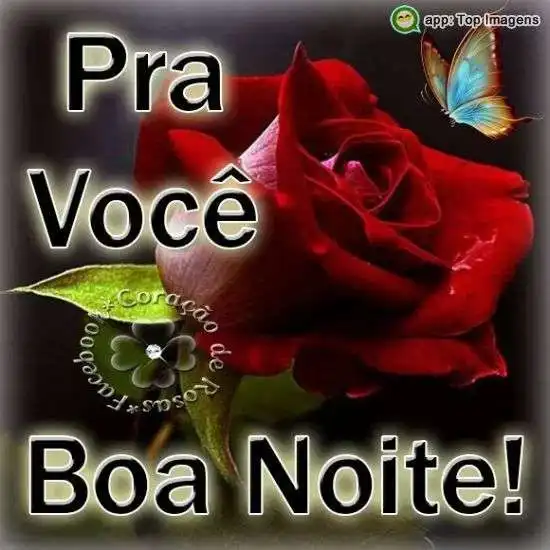 Boa noite