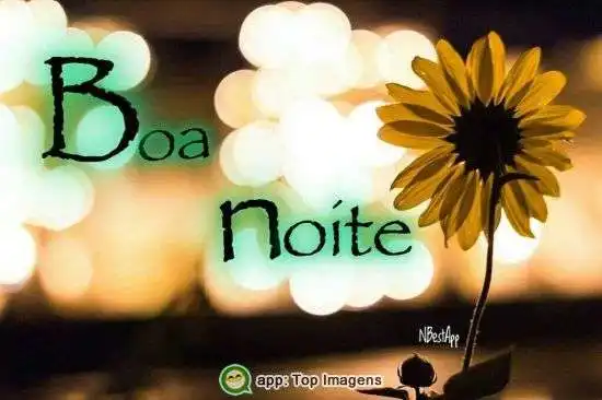 Boa noite