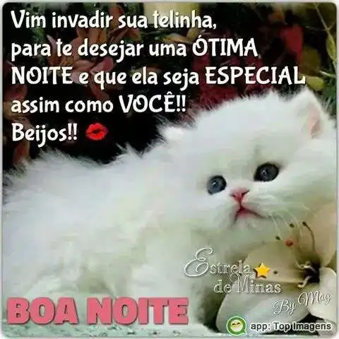 Boa noite