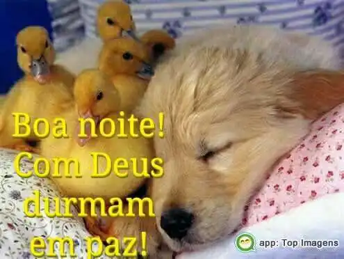 Boa noite