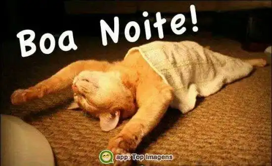 Boa noite
