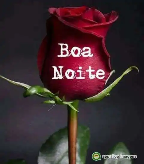 Boa noite