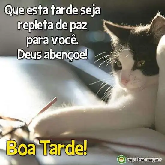 Boa tarde