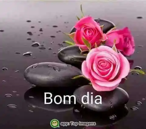 Bom dia