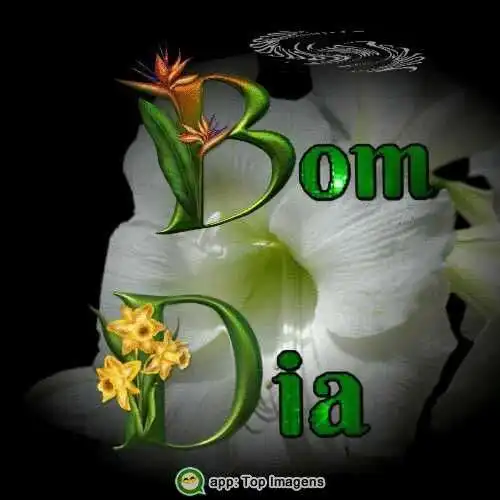 Bom dia