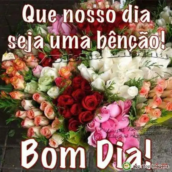 Bom dia