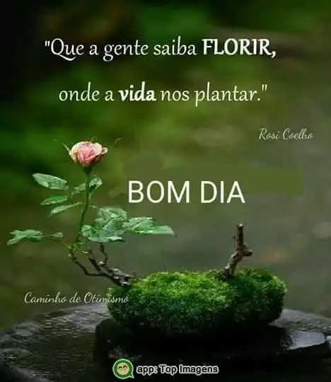 Bom dia