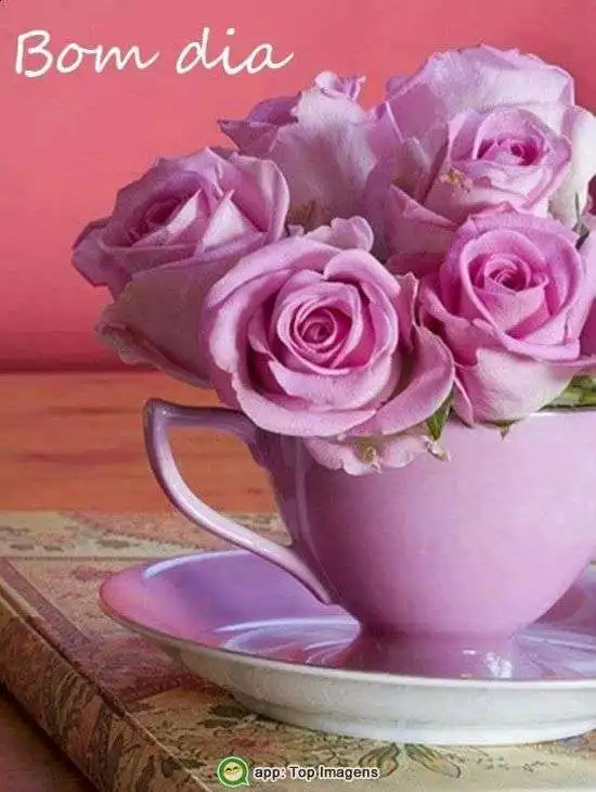 Bom dia