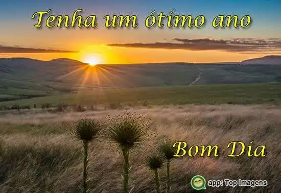 Bom dia