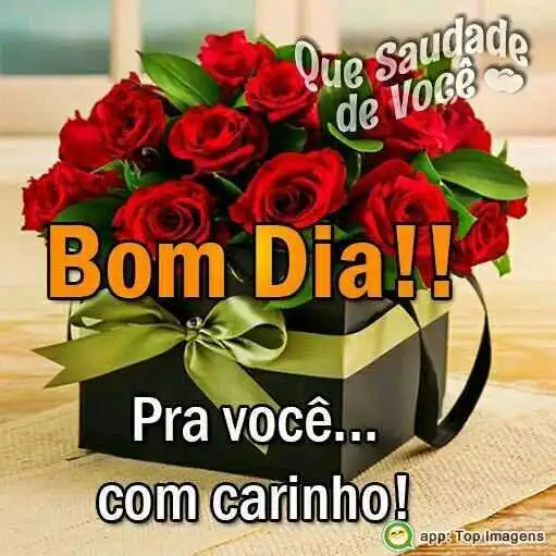 Bom dia