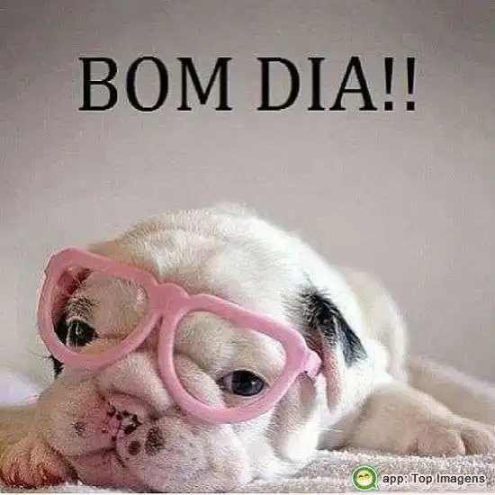 Bom dia - Imagens Diárias - 5602 Bom dia - Imagens Diárias - 5602
