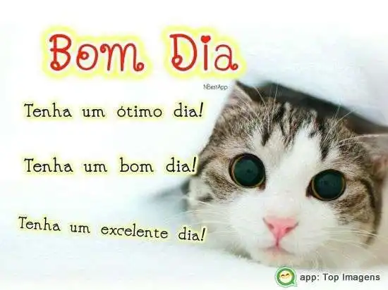 Bom dia
