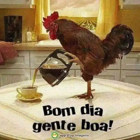 Bom dia gente boa