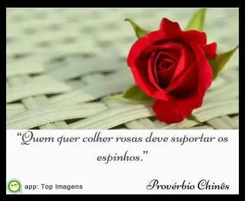 Colher rosas
