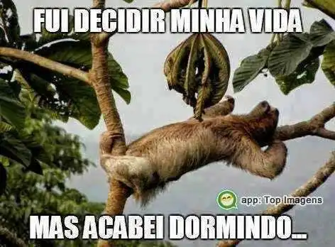 Decidir a vida