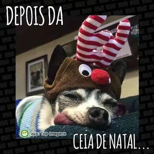 Depois da ceia de Natal