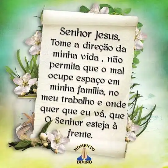 Direção da minha vida