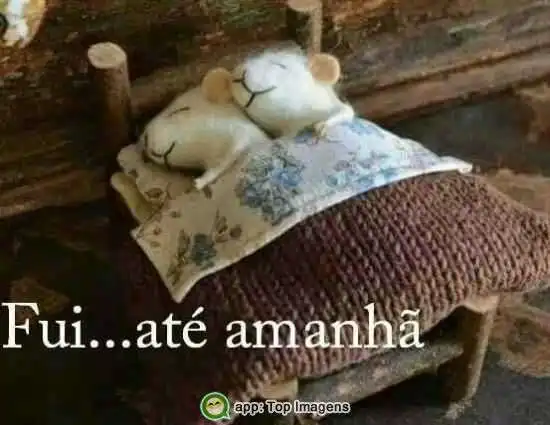 Fui, até amanhã