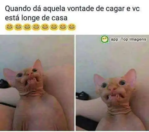 Longe de casa