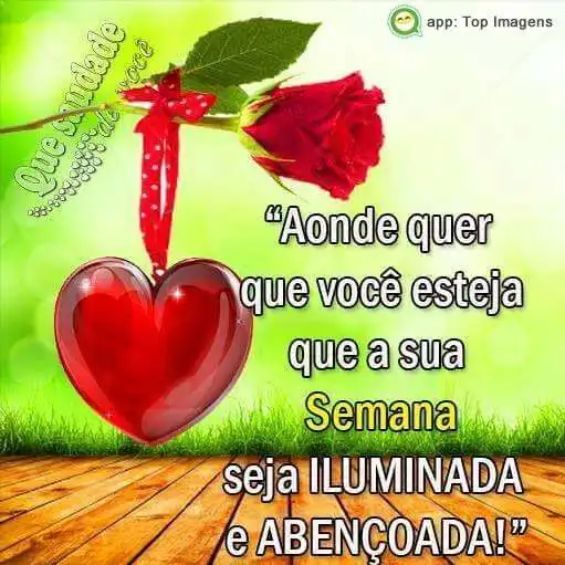semana-abencoada-5560E7puok7a2u.webp