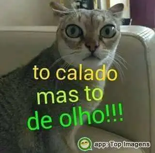 Tô calado mas tô de olho