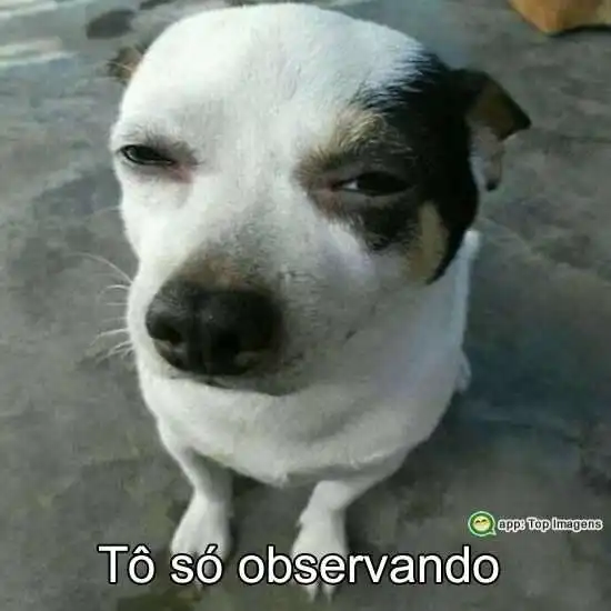 Tô só observando