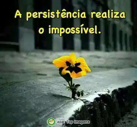 A persistência realiza o impossível