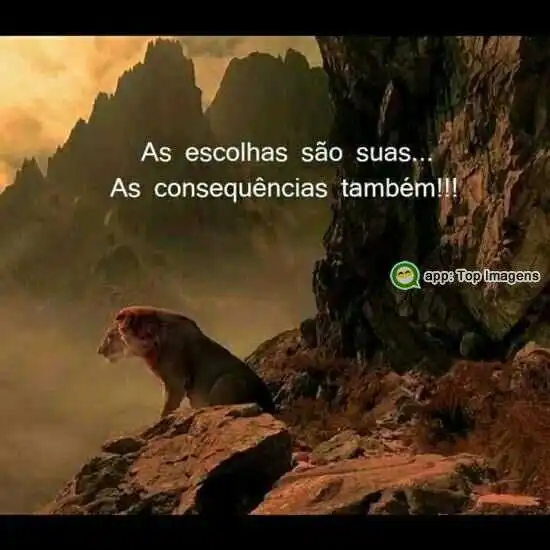 As escolhas são suas