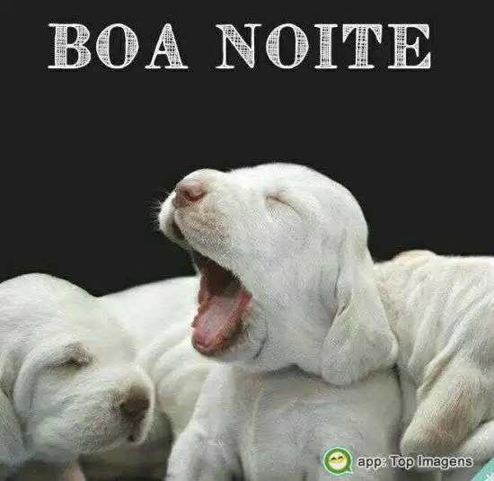 Boa noite