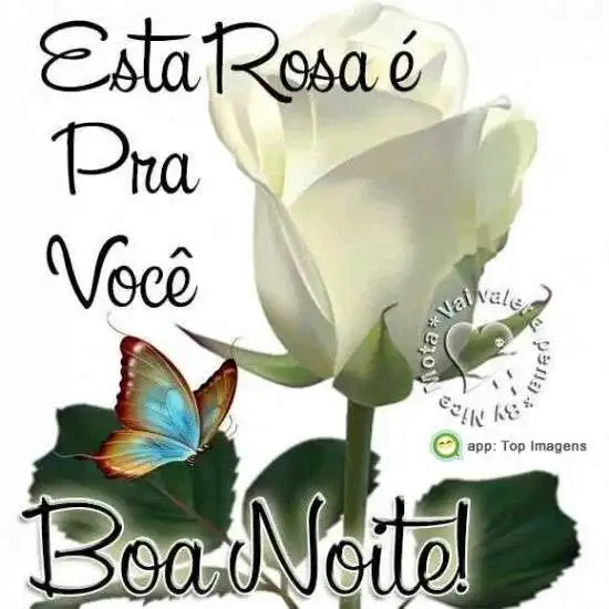 Boa noite
