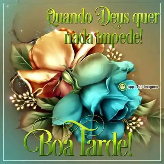 Boa tarde
