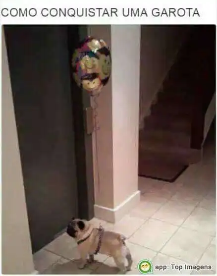Como conquistar uma garota