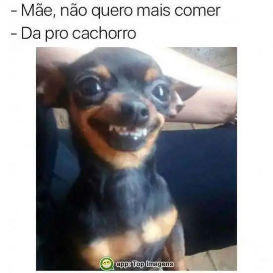 Dá pro cachorro