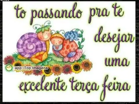 Excelente terça-feira