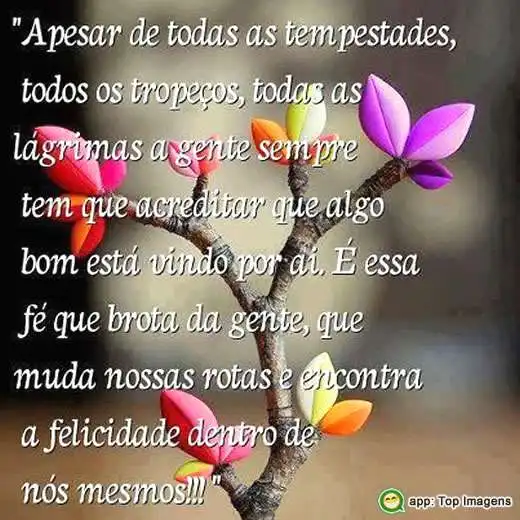 Felicidade dentro de nós