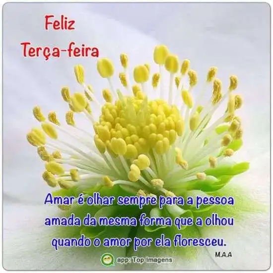 Feliz terça-feira
