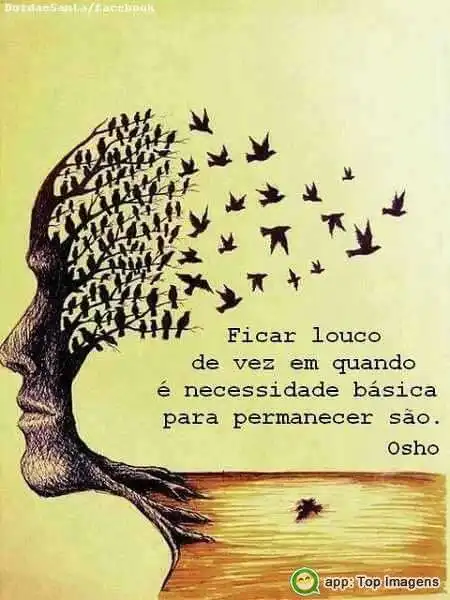 Louco de vez em quando