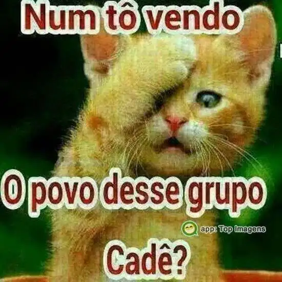 Num tô vendo o povo do grupo