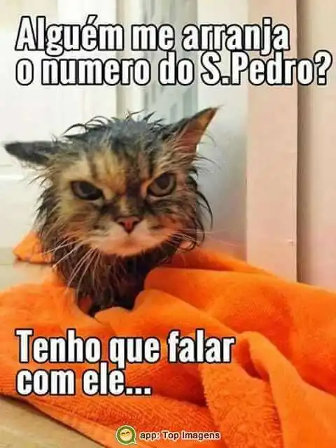 Número de São Pedro