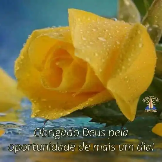 Obrigado por mais um dia