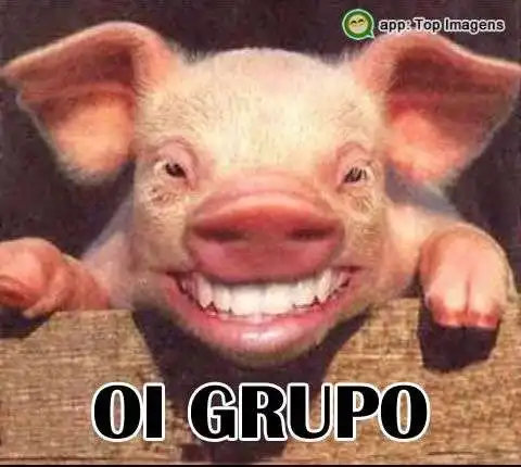 Oi grupo