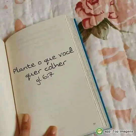 Plante o que quer colher