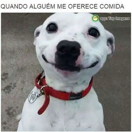 Quando alguém oferece comida