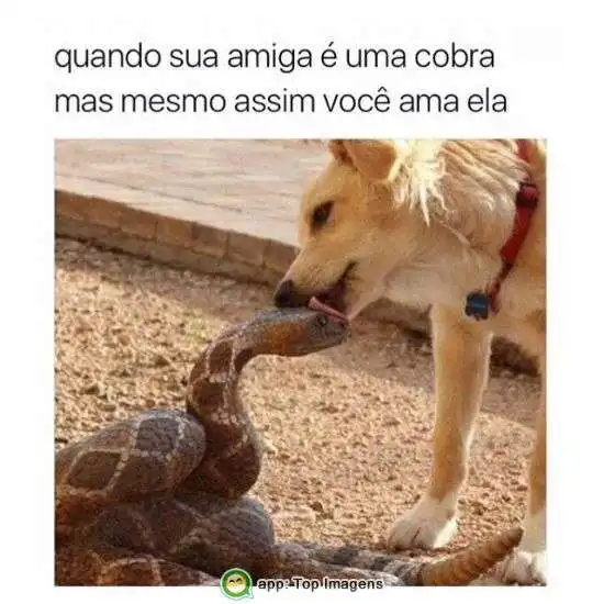 Quando sua amiga é uma cobra