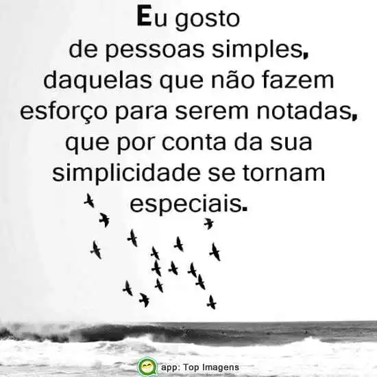 Simples e especiais